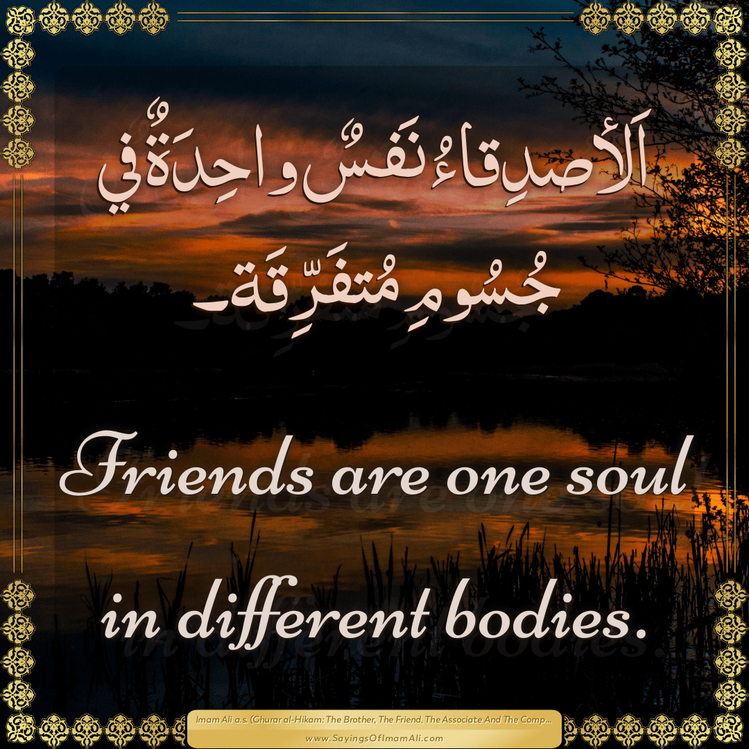 Friends are one soul in different bodies.